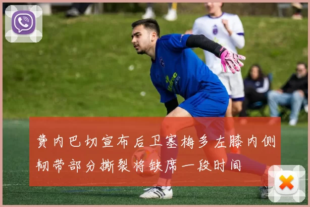 费内巴切宣布后卫塞梅多左膝内侧韧带部分撕裂将缺席一段时间
