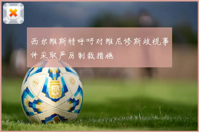 西尔维斯特呼吁对维尼修斯歧视事件采取严厉制裁措施